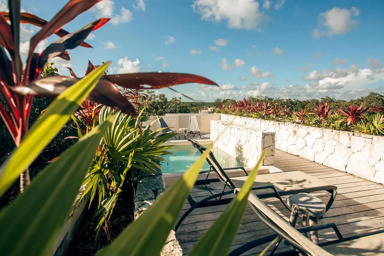 Vida Boho Apart 12 With Special Fee To Access Hotel Bardo تولوم المكسيك