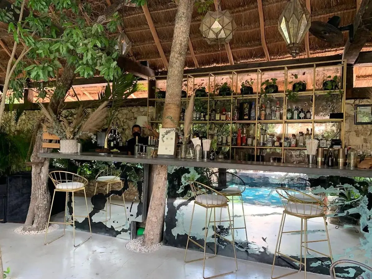 Vida Boho Apart 12 With Special Fee To Access Hotel Bardo تولوم شقة