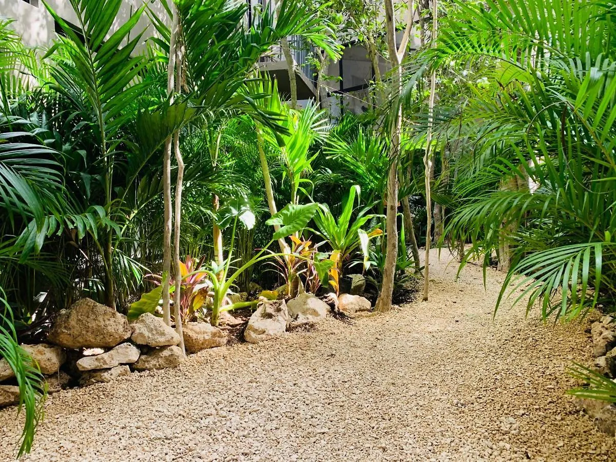Vida Boho Apart 12 With Special Fee To Access Hotel Bardo تولوم 0*,  المكسيك